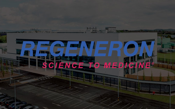 https://mycareerpath.proactivedigital.ie/wp-content/uploads/2024/03/mycareerpath-regeneron-feature.jpg